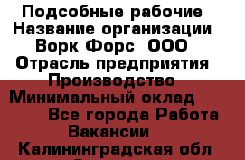 Подсобные рабочие › Название организации ­ Ворк Форс, ООО › Отрасль предприятия ­ Производство › Минимальный оклад ­ 35 000 - Все города Работа » Вакансии   . Калининградская обл.,Советск г.